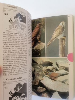 Gran guia de la naturaleza. Aves.