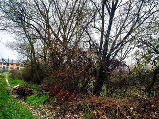 Terreno en venta en Villaquilambre