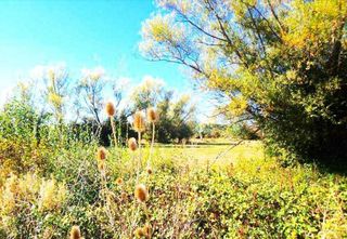 Terreno en venta en Villaquilambre