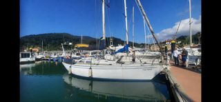 Velero 34 pies (10m)