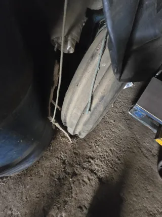 Cosechadora de remolacha autopropulsada