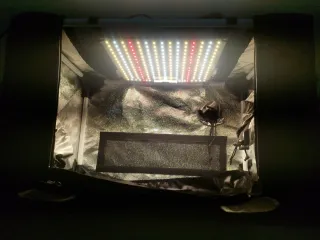 Armario propagador esquejes