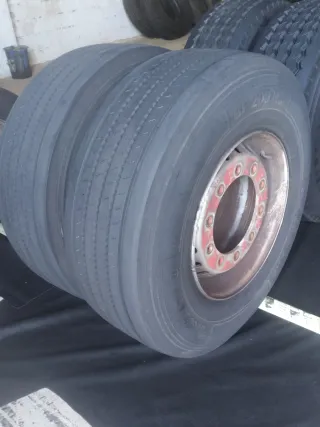 Neumáticos 385/65/22.5