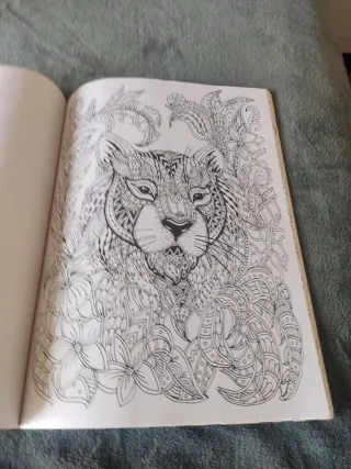 Jungle creatures, coloring to cultivate a Creative