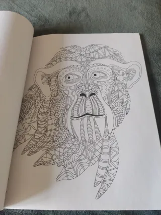 Jungle creatures, coloring to cultivate a Creative