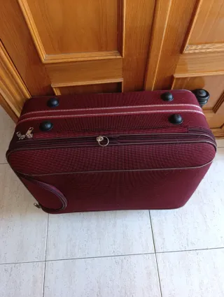 Maleta grande con ruedas