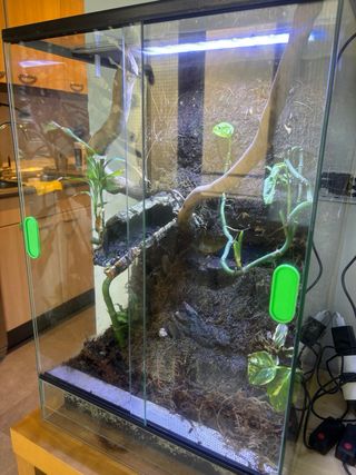 Terrario para reptiles,ideal para geckos, ranas...