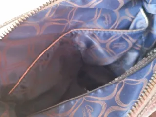 Bolso Axel Marrón y Dorado