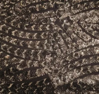 Minifalda Zara Nueva Talla XS