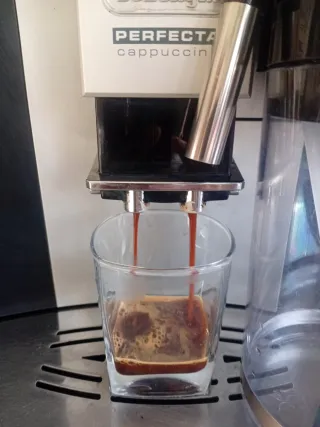 Cafetera DeLonghi Perfecta Cappuccino