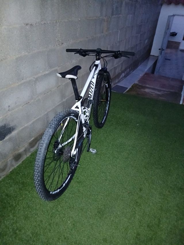 Bicicleta Montaña 29 Specialized