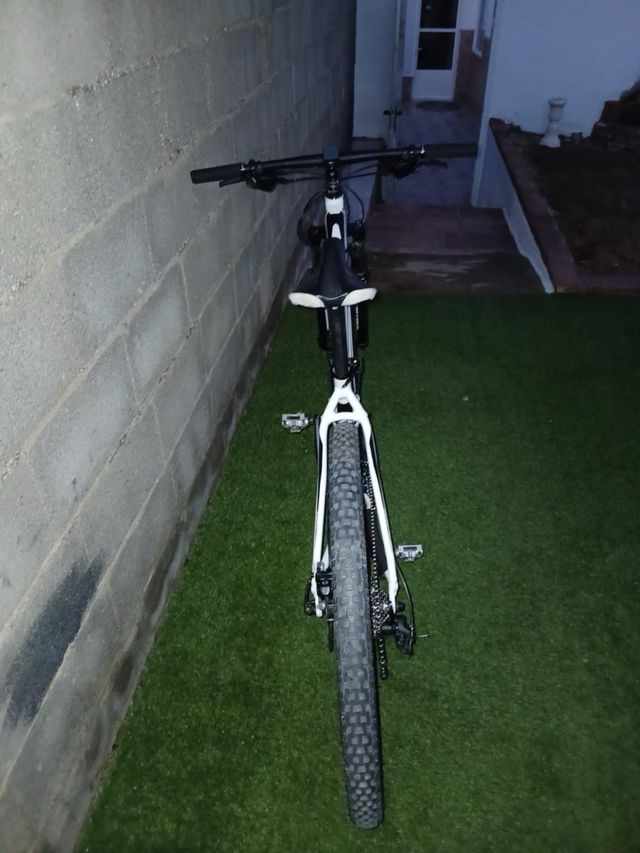 Bicicleta Montaña 29 Specialized