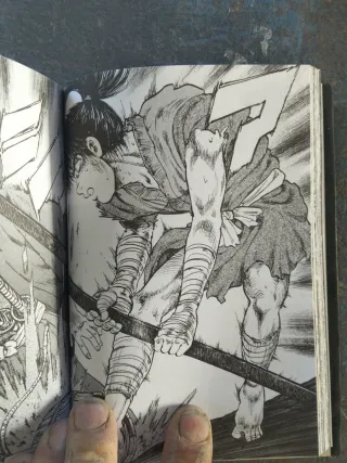 Libro manga