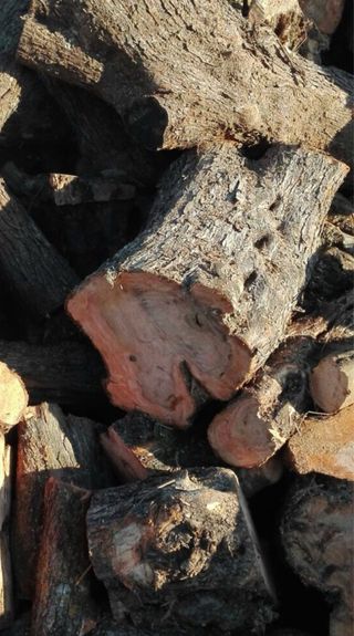 Leña de Almendro y Olivo