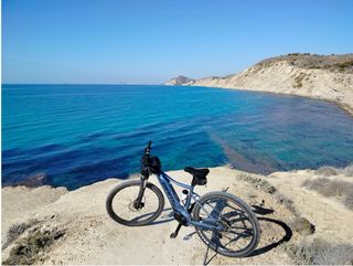 Bicicleta Eléctrica Giant EMTB