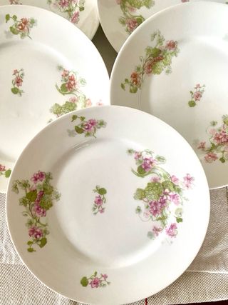 Platos Limoges France vintage 22 cm