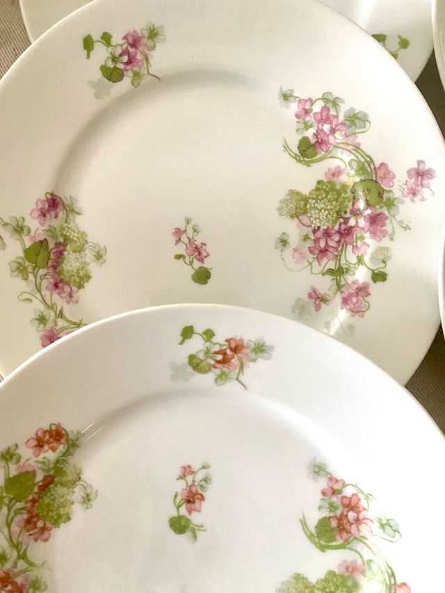 Platos Limoges France vintage 22 cm