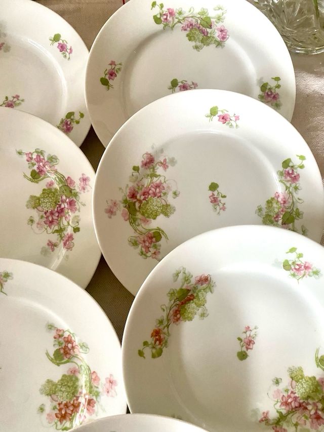 Platos Limoges France vintage 22 cm