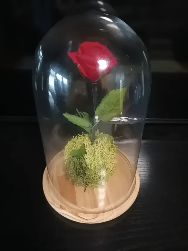 Rosa Roja en Cúpula de Cristal