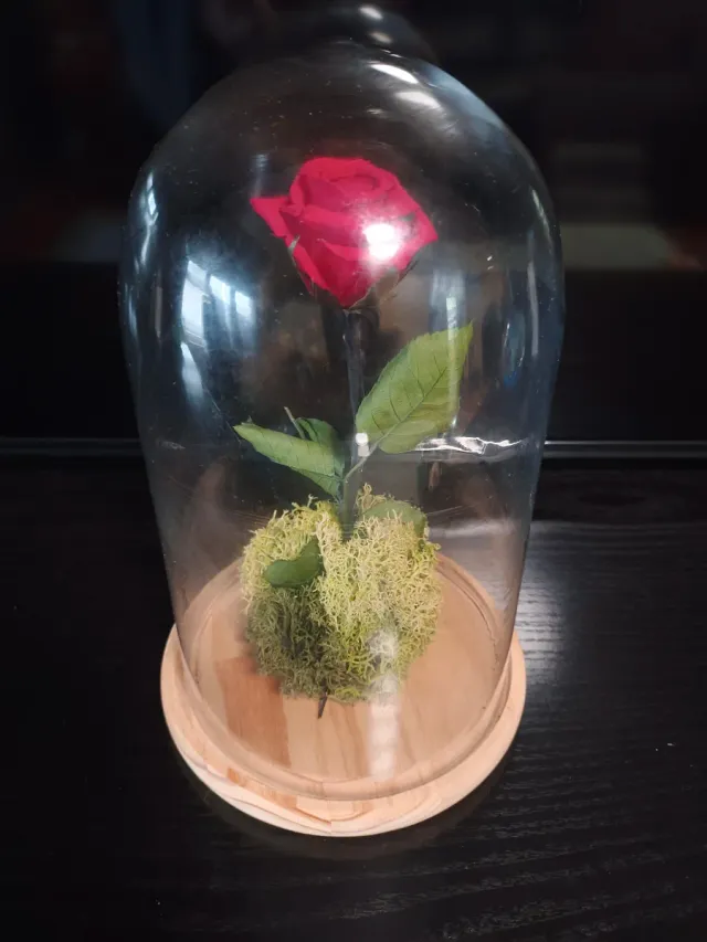 Rosa Roja en Cúpula de Cristal