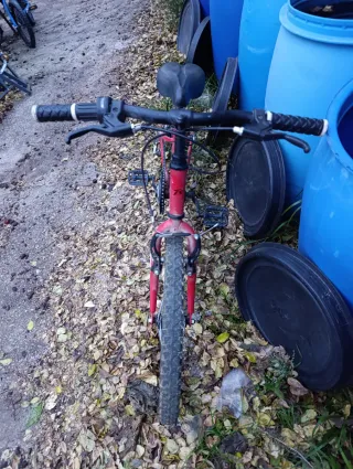 2 Bicicletas Infantiles: Racer y Monty