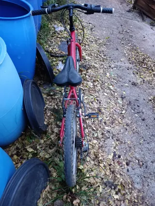 2 Bicicletas Infantiles: Racer y Monty