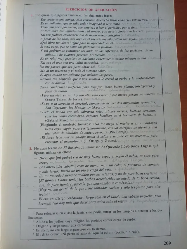 Curso de Lengua Española