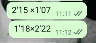 Cancela de hierro forjado color negro