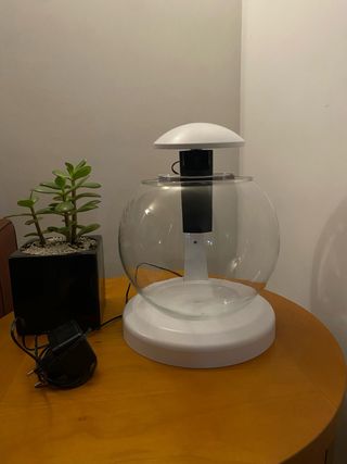 Acquario Ampolla con Filtro e Illuminazione