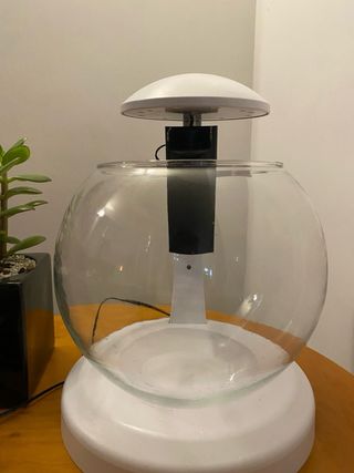 Acquario Ampolla con Filtro e Illuminazione