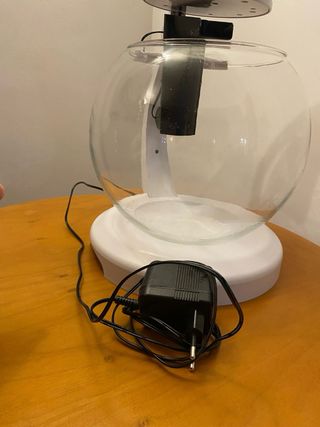 Acquario Ampolla con Filtro e Illuminazione