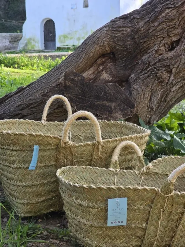 Lote de Lenheiros de Esparto Natural Boho