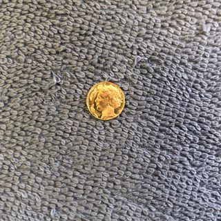 La moneta d'oro più piccola del mondo
