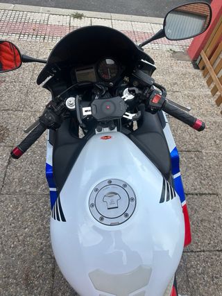 Honda CBR 600 F4i Sport