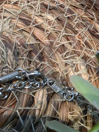 Collar tendencia Corazón Acero Dorado y Plateado