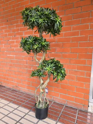 Bonsái Artificial Decorativo