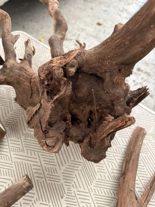 Raíces y troncos para decoración de acuario