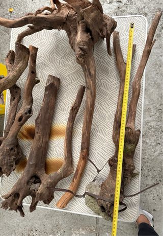 Raíces y troncos para decoración de acuario