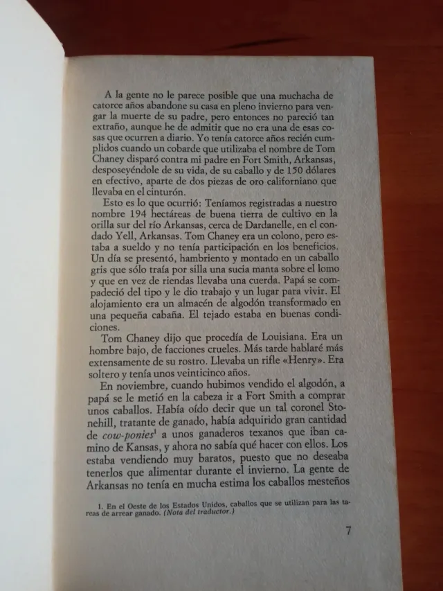 Valor de ley (Mattie)