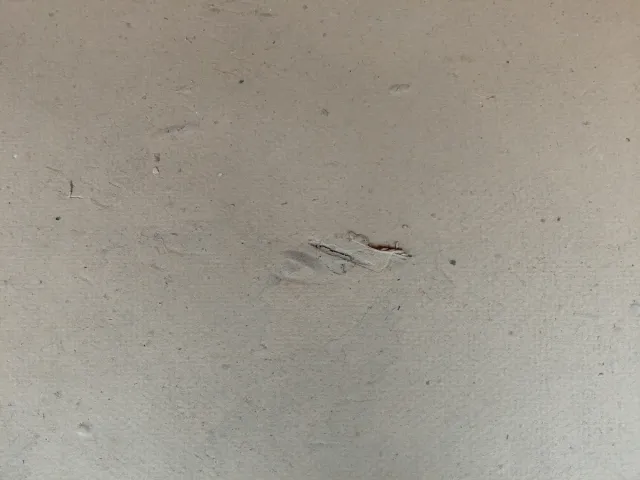 Lámina Fiesta S. Isidro Madrid enmarcada.