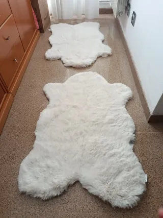 2 Tappeti di Lana Bianca Action