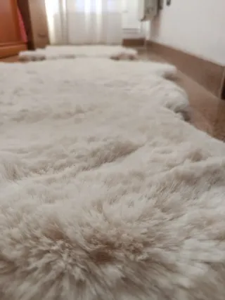 2 Tappeti di Lana Bianca Action