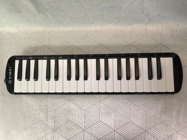 Melódica con funda y accesorios - Negra (Nueva)