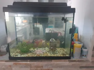 Pecera con accesorios