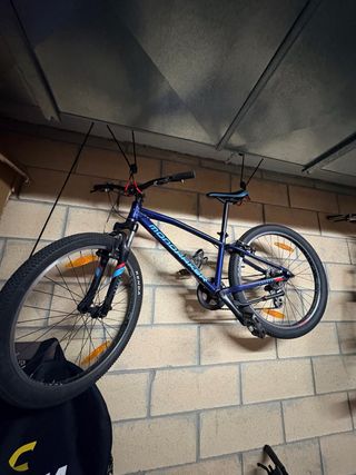 Bicicleta Mondraker Junior 7-10 años