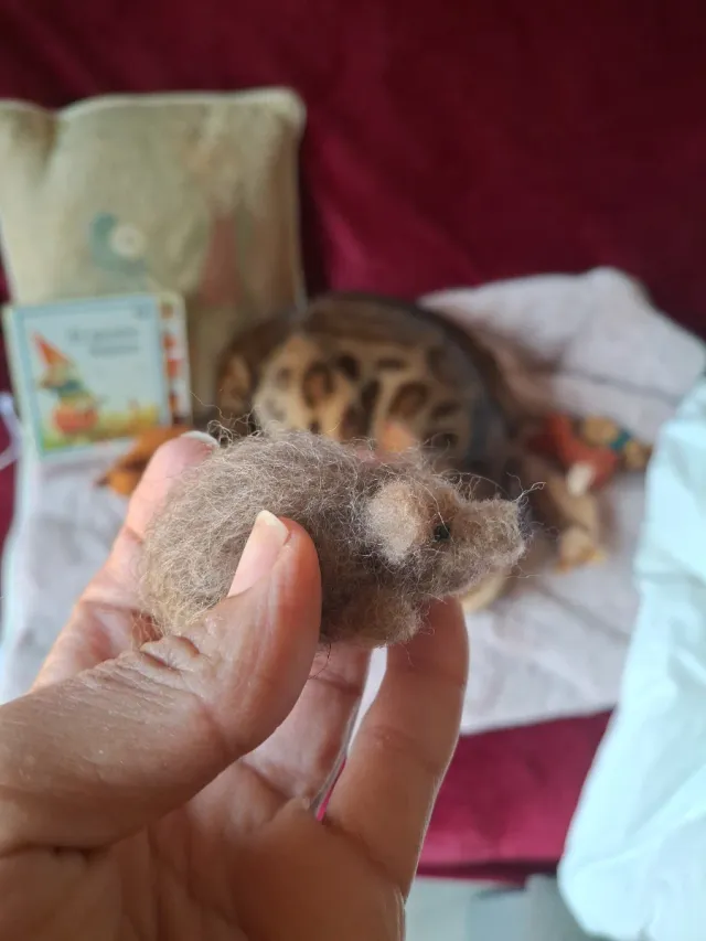 Erizo de fieltro hecho a mano