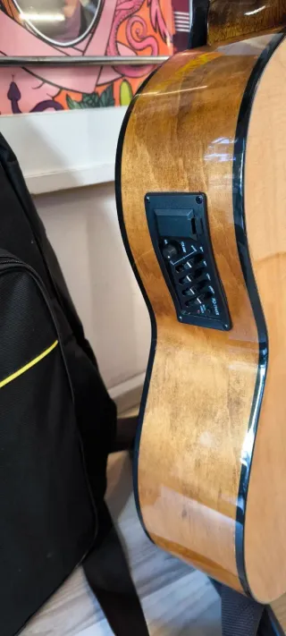 Guitarra Clásica Electrificada
