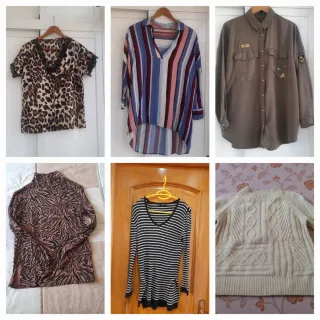 Lote 6 camisas