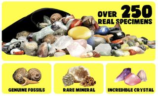 ◆NUOVO PRECINTADO◆ Collezione 300 o 250 minerali