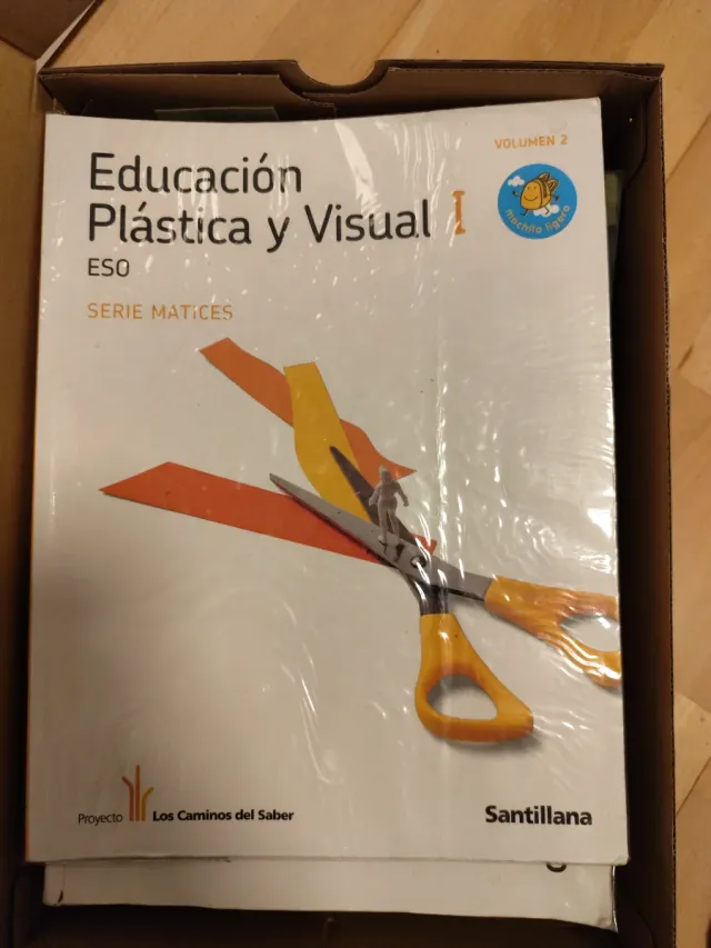 EDUCACION PLASTICA Y VISUAL MATICES I 1/2 ESO M...